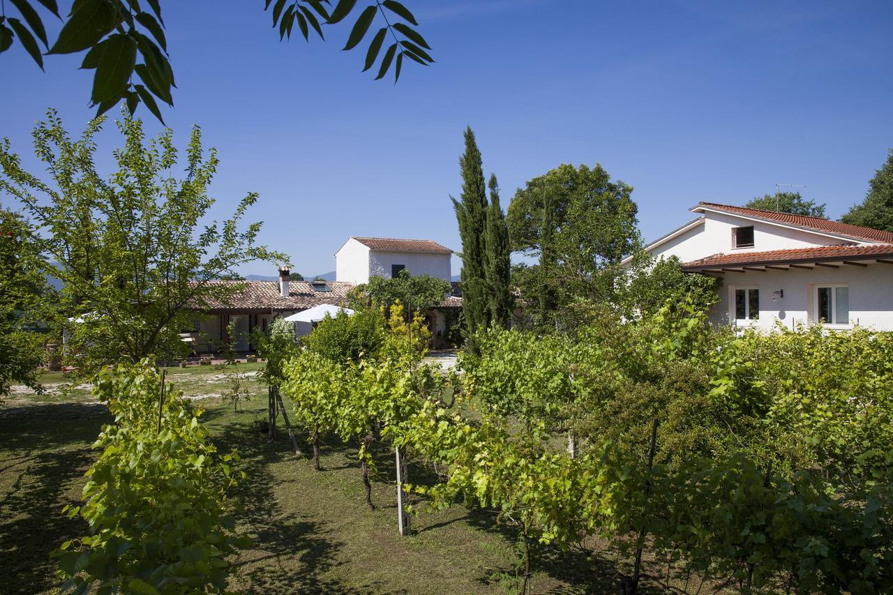 Antico Casale Spezia Pelagalli Aquino Exterior foto